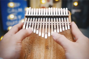 Cajon and Kalimba Video Factory, Fournisseurs 3 Couverture GECKO kalimba: oeuvre d'April Yang