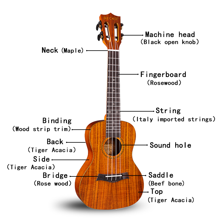 https://www.gecko-kalimba.com/gecko-ukulelehigh-grade-wholesale-bass-guitar-concert-wooden-koa-ukulele-gecko.html
