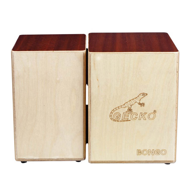 Gecko Cajon BONGO-2